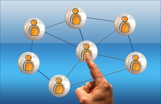 爱游戏中国官方登录入口网站-体育新闻中心联合高校开展体育传媒创新创业大赛，体育产业创新创业大赛